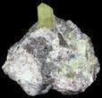 Apatite Crystals with Magnetite & Epidote - Durango, Mexico #64023-1